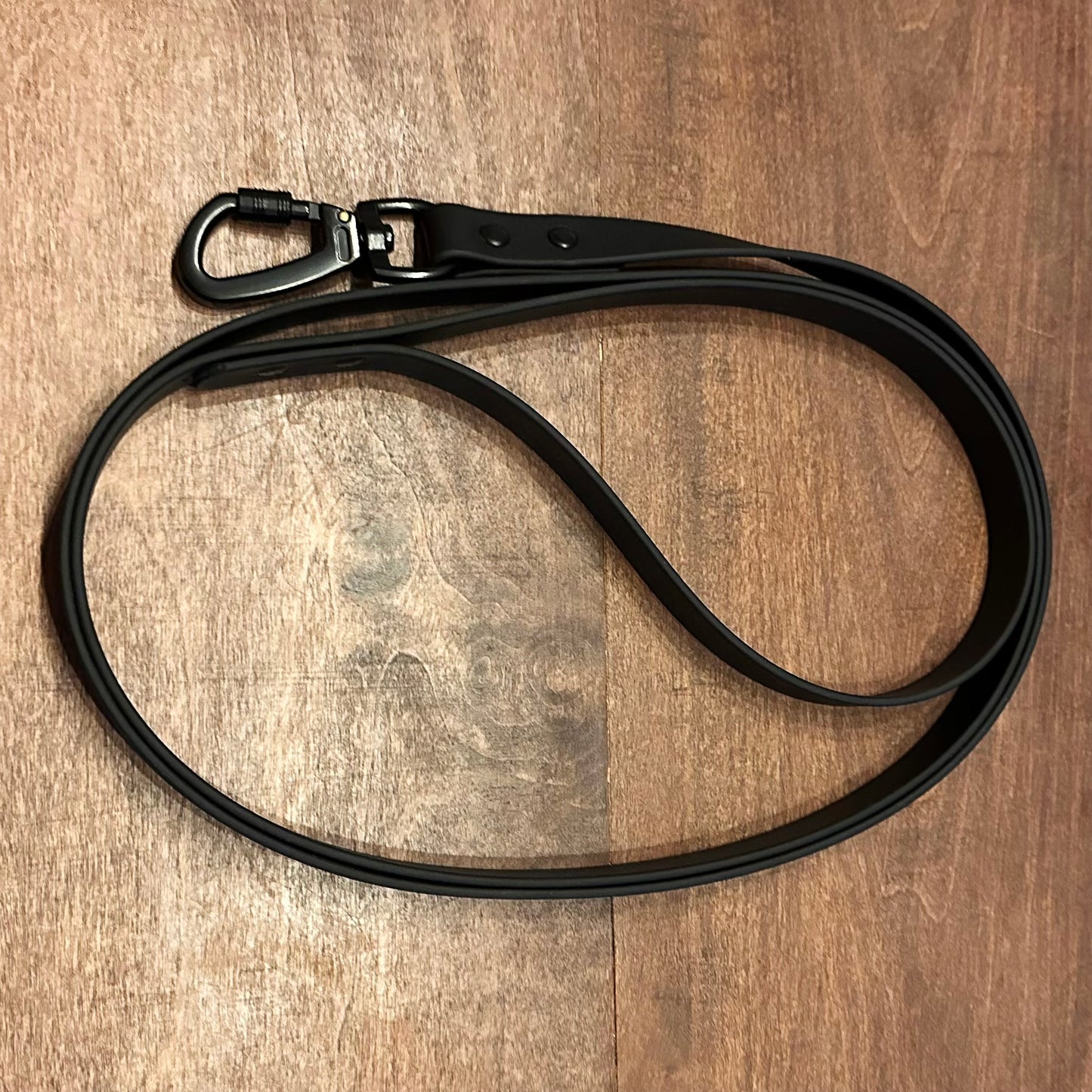 Custom Biothane Everyday Leash