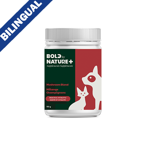 BOLD BY NATURE MUSHROOM BLEND SUPPLEMENT FOR CATS AND DOGS 150g