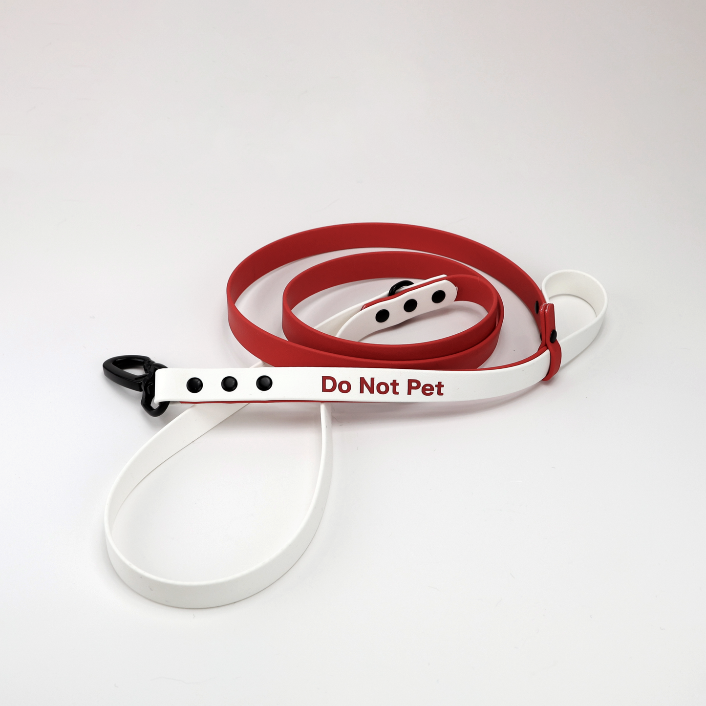 Custom Biothane Everyday Leash