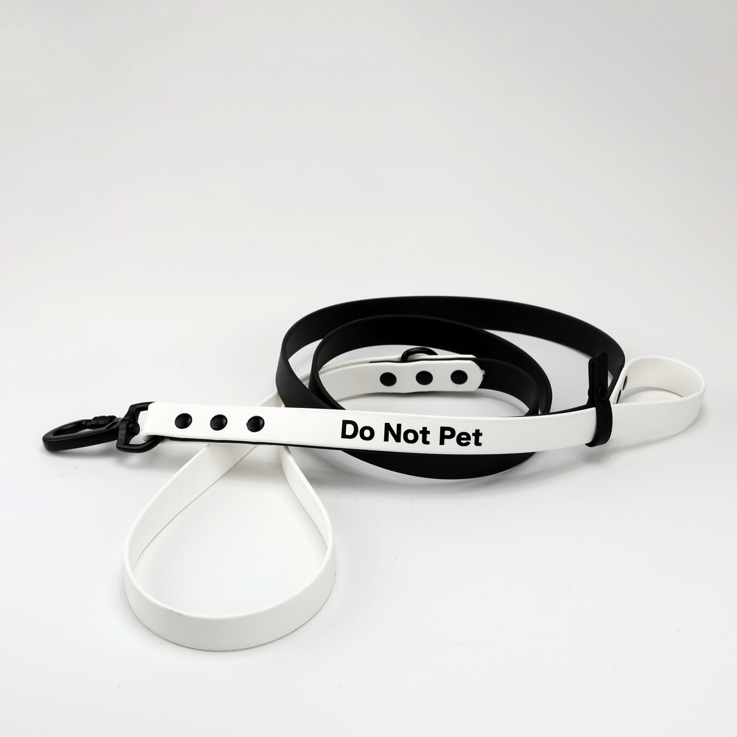 Custom Biothane Everyday Leash