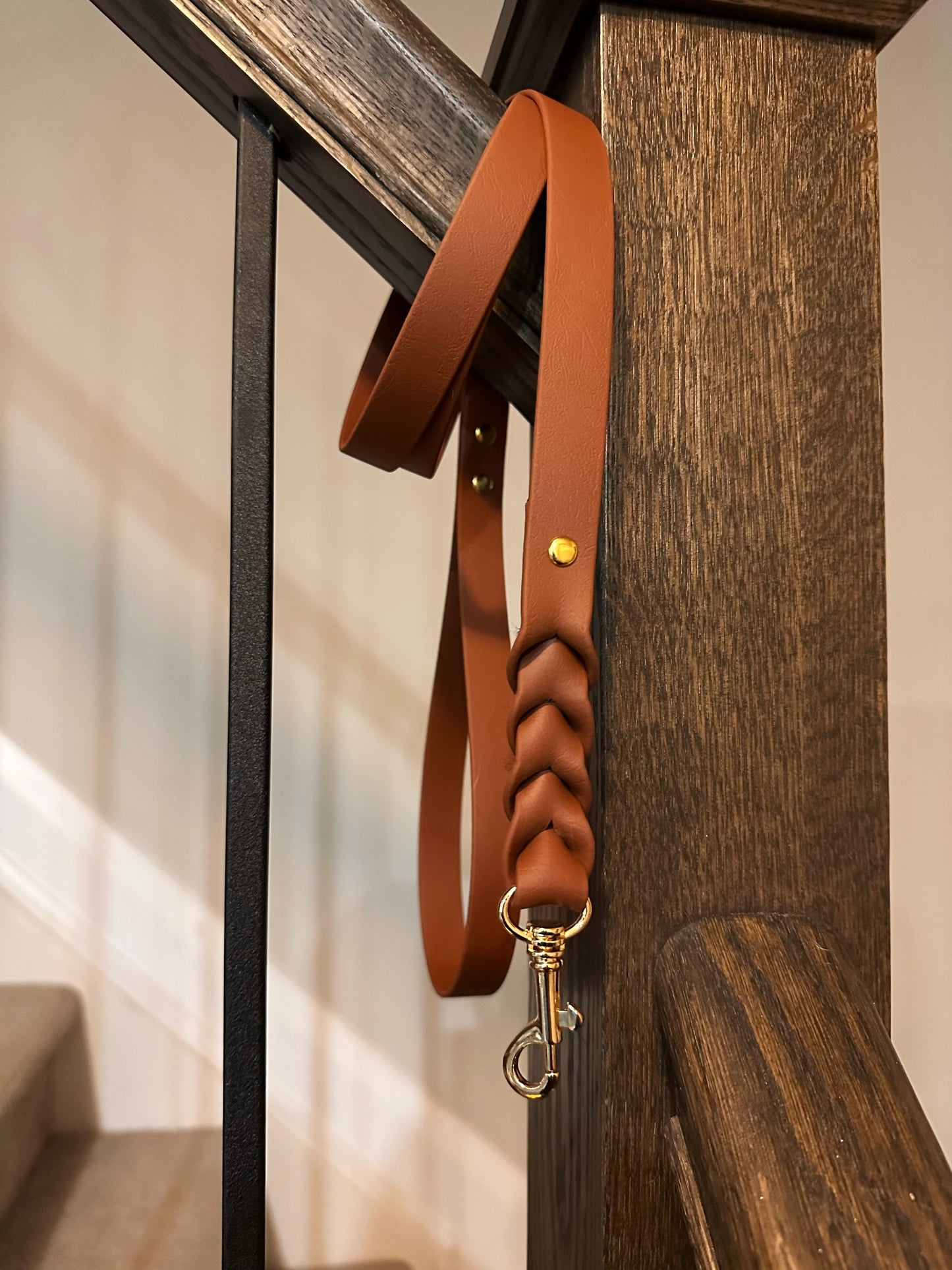 Custom Biothane Everyday Leash
