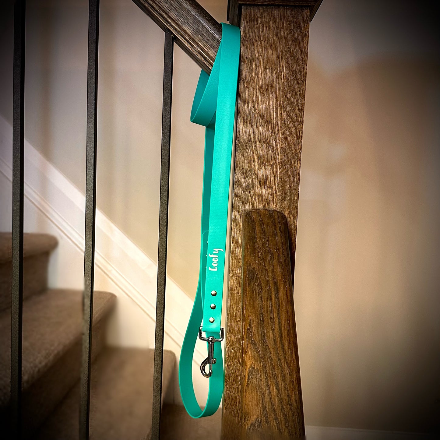Custom Biothane Everyday Leash