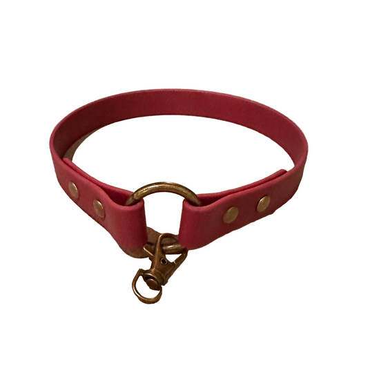 Custom BioThane® Tag Collar