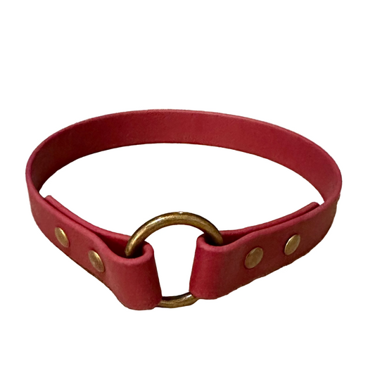 Custom BioThane® Tag Collar