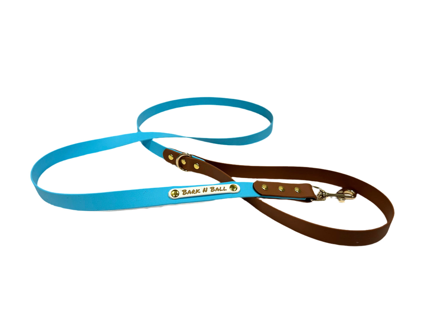 Custom Biothane Everyday Leash