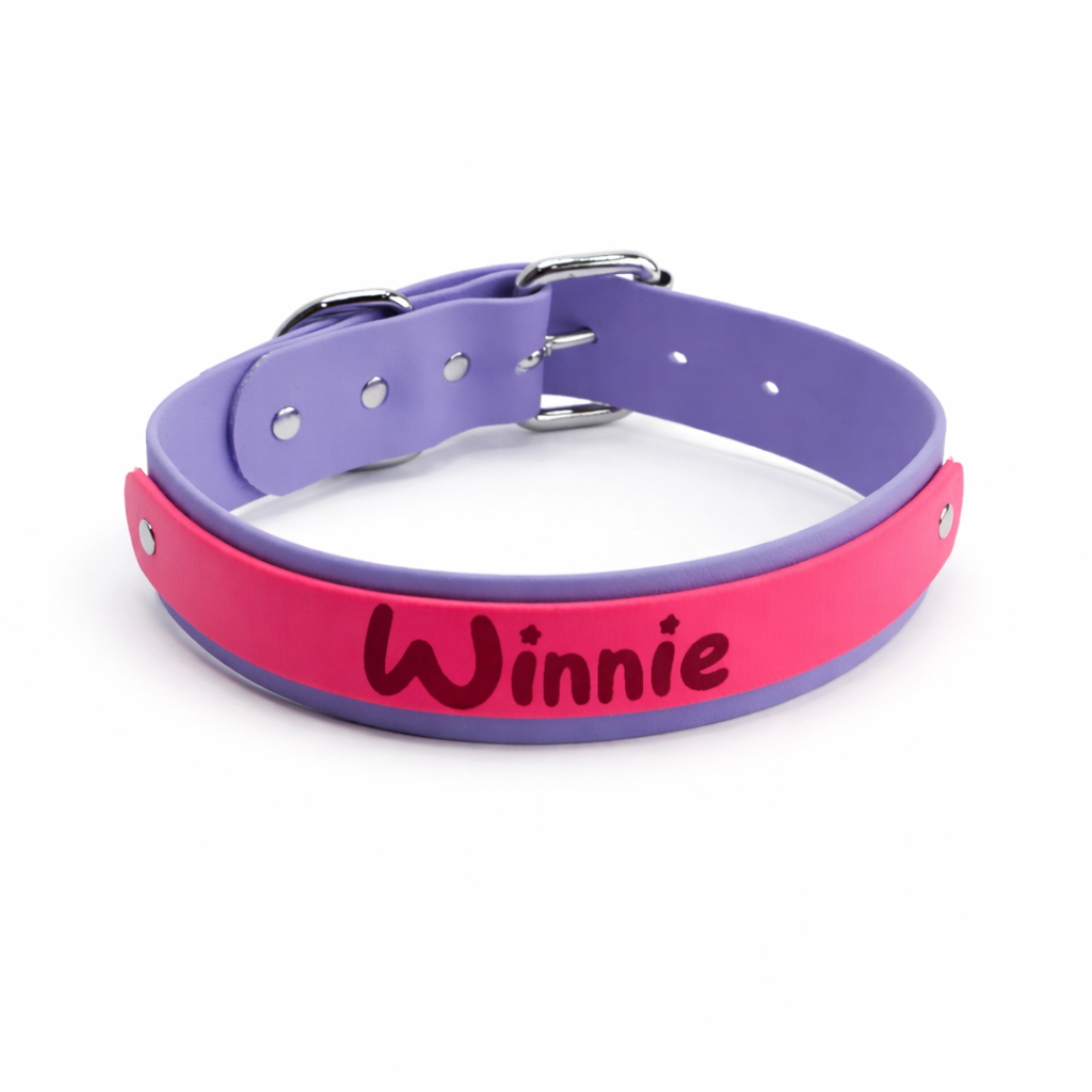 Custom Biothane Everyday Dog Collar