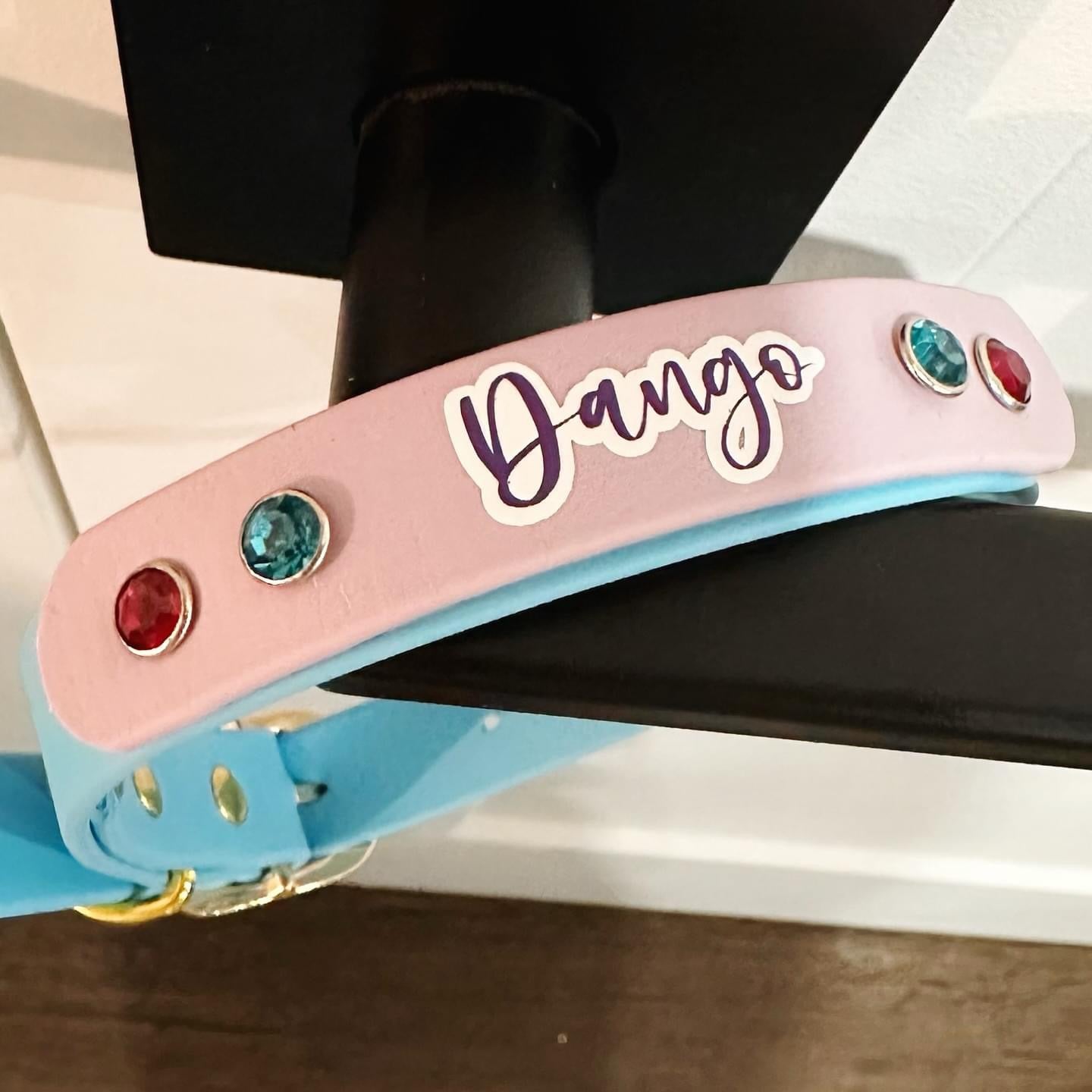 Custom Biothane Everyday Dog Collar