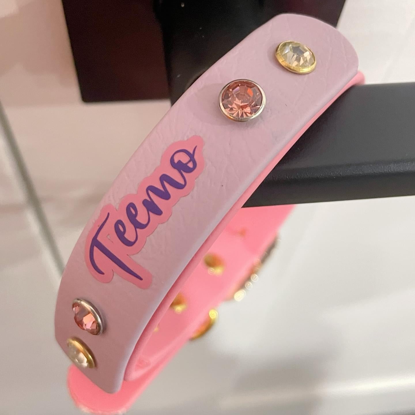 Custom Biothane Everyday Dog Collar