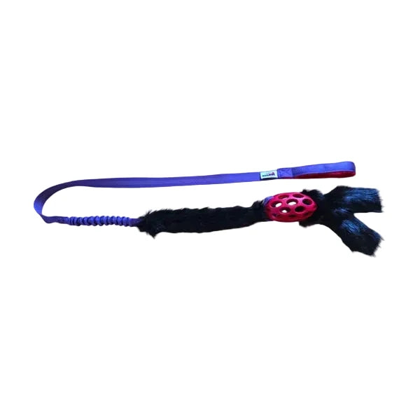 EGGCHASER Bungee Tug Toy