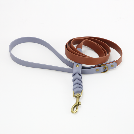 Custom Biothane Everyday Leash