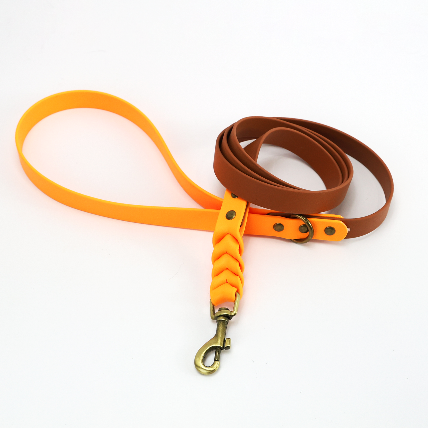 Custom Biothane Everyday Leash