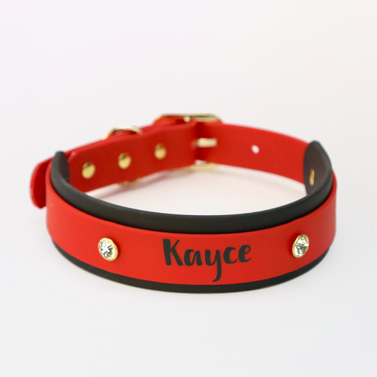 1.5" Two-Tone Custom BioThane® Collar