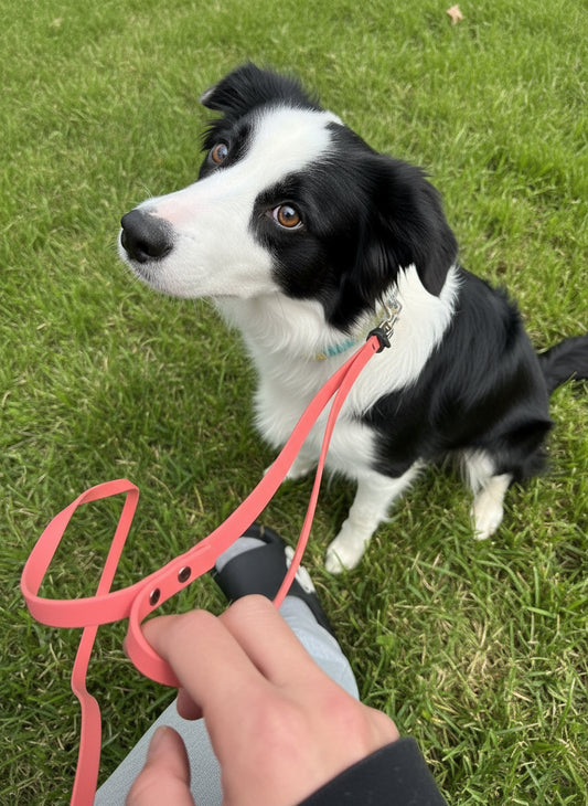 [Add-On] Traffic Handle