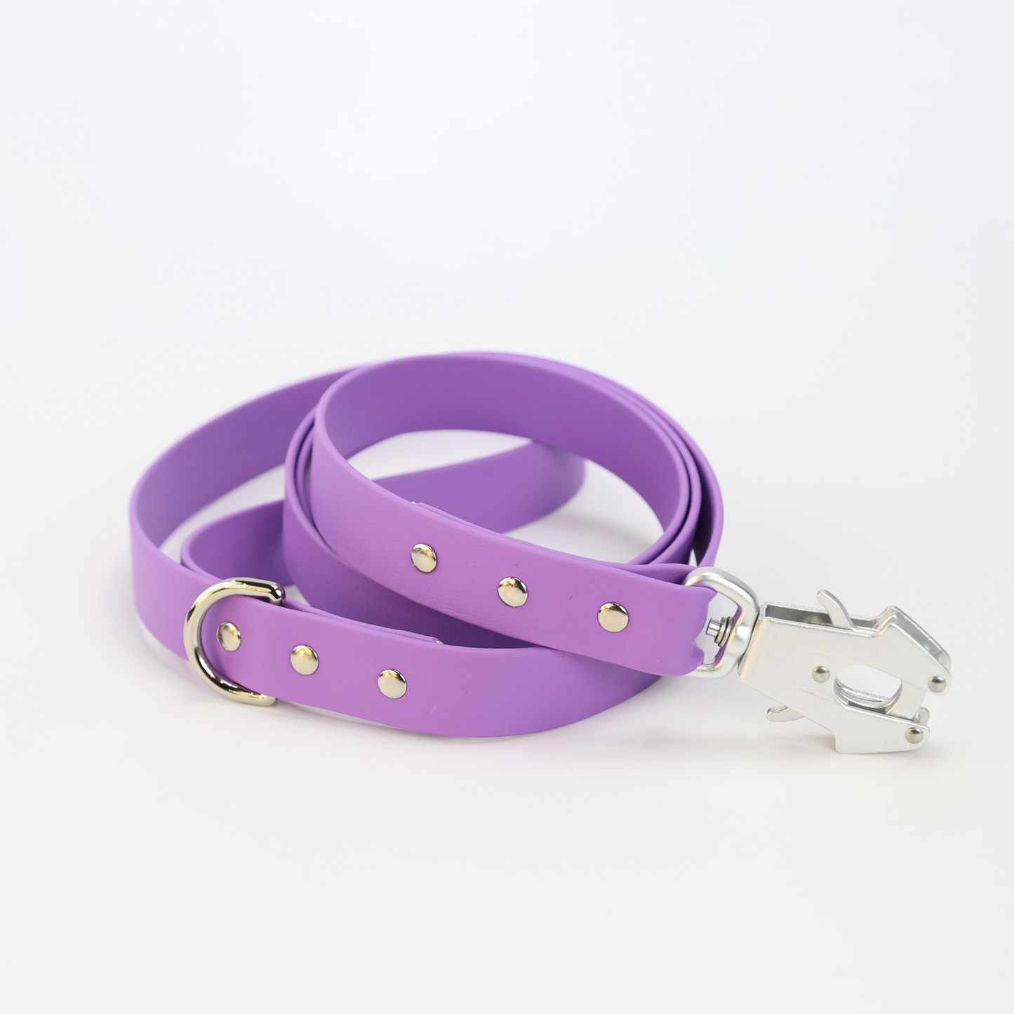 Custom Biothane Everyday Leash