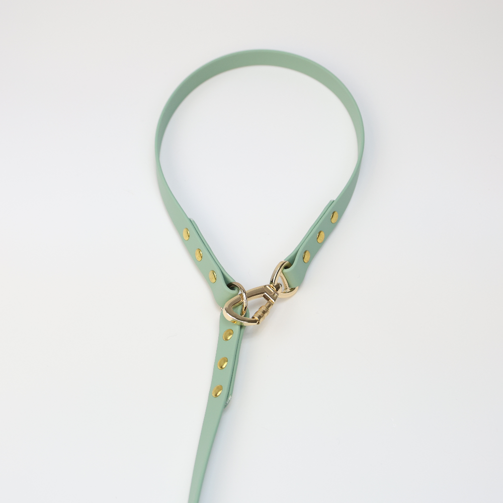 Custom Biothane Adjustable Leash