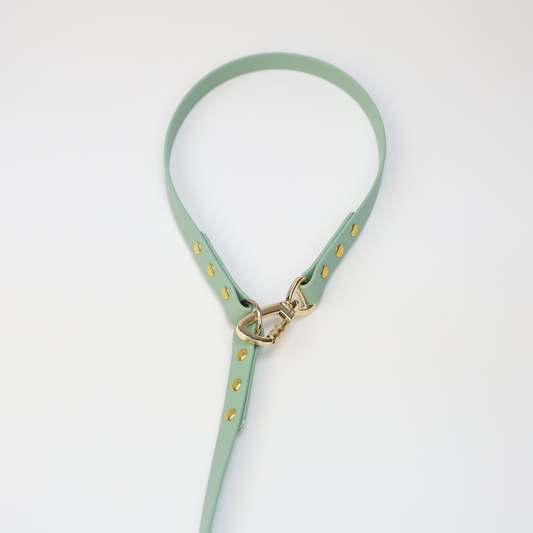 Custom Biothane Adjustable Leash