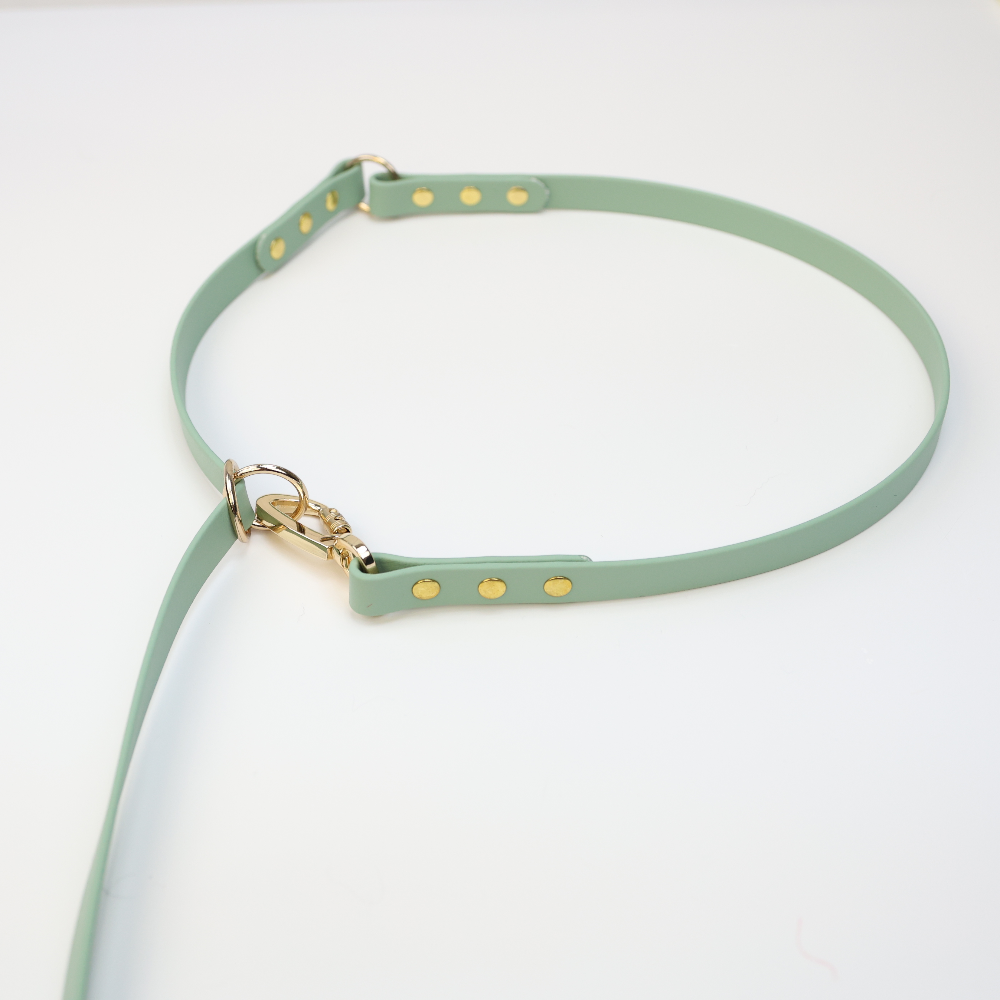 Custom Biothane Adjustable Leash