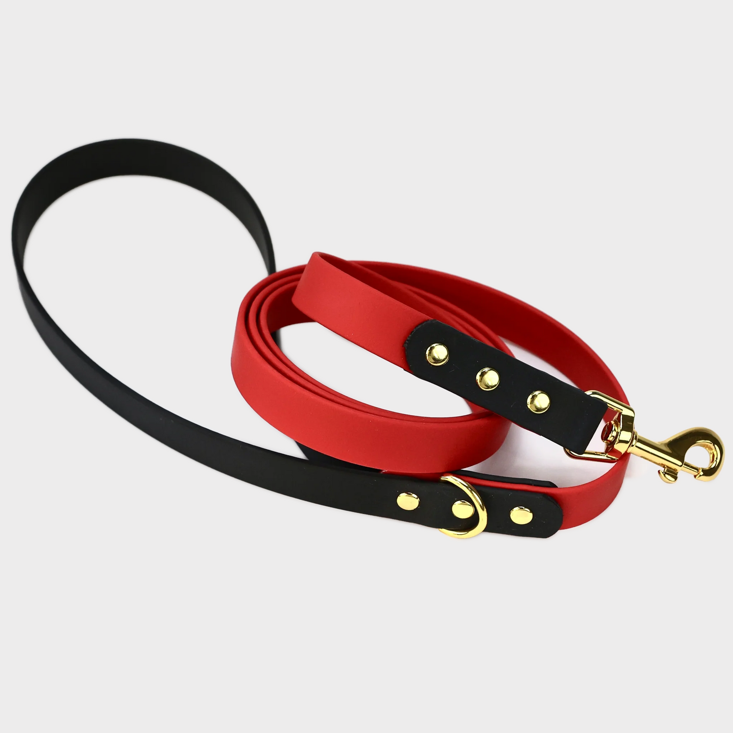 Custom Biothane Everyday Leash