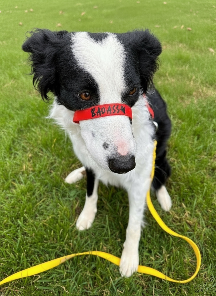 [Add-On] Name Tag - Bark N Ball
