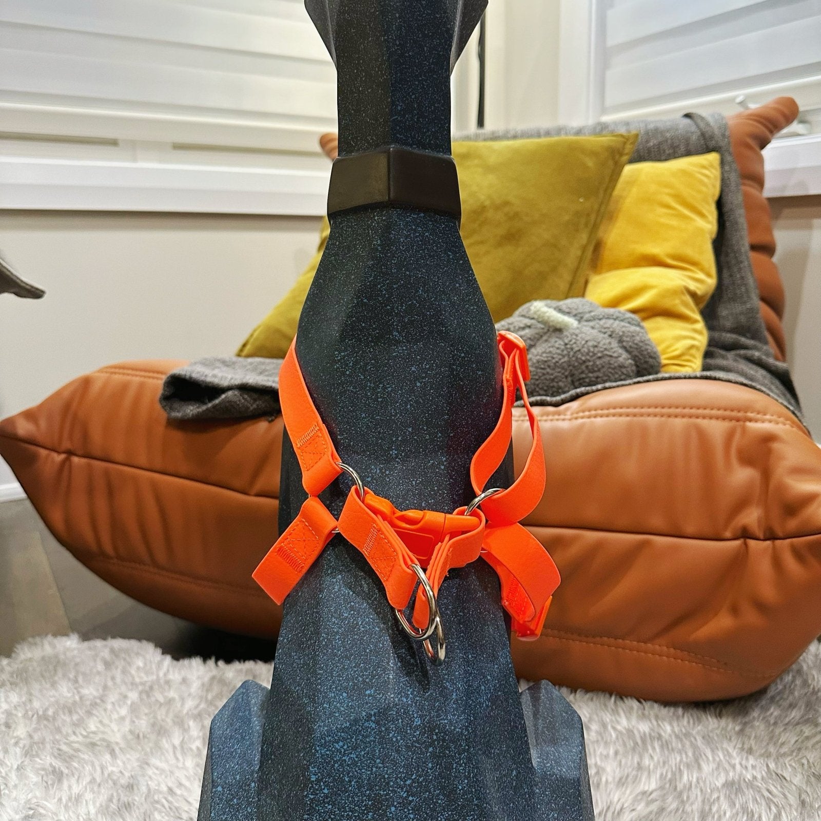 Waterproof Step In Harness - Bark N Ball